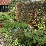 Beeldend Buiten *