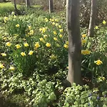 Beeldend Buiten * Wichmond
