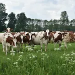 Διαμέρισμα Beeldend Buiten