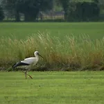 Beeldend Buiten