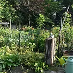 Beeldend Buiten