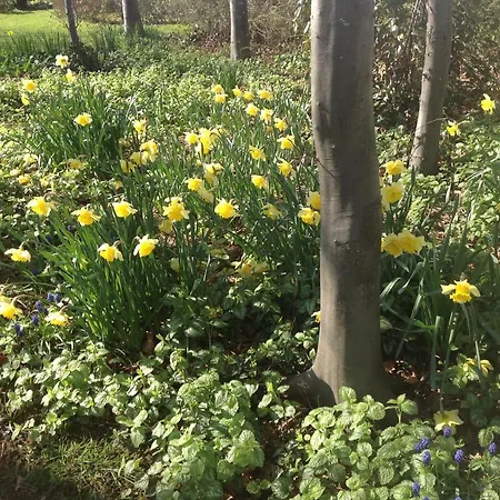 Beeldend Buiten * Wichmond