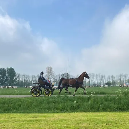 Beeldend Buiten *