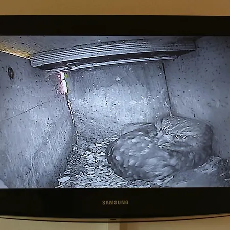 דירה Beeldend Buiten Wichmond