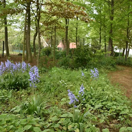 Beeldend Buiten Apartment Wichmond