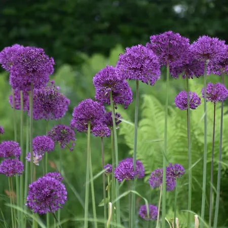 דירה Beeldend Buiten *