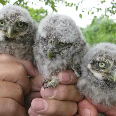 דירה Beeldend Buiten