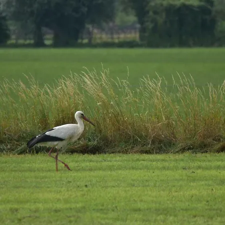 Beeldend Buiten