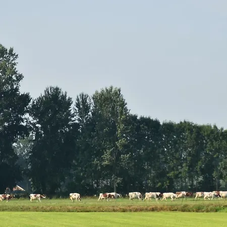 Apartment Beeldend Buiten
