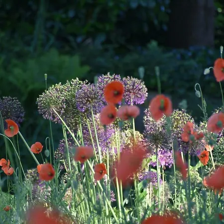 דירה Beeldend Buiten