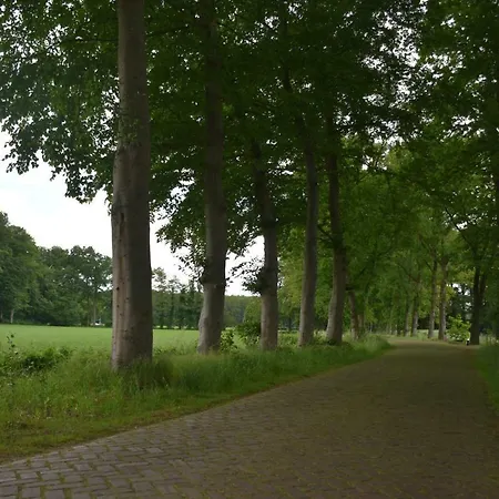 Beeldend Buiten *