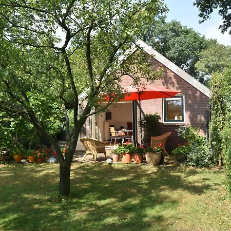 Beeldend Buiten דירה