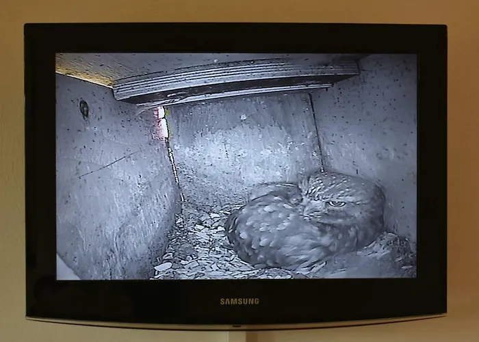 Apartamento Beeldend Buiten Wichmond