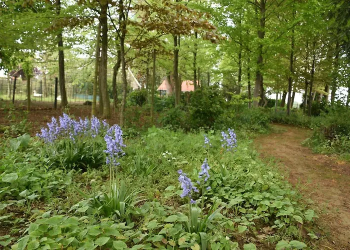 Beeldend Buiten Apartamento Wichmond