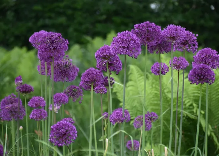 Apartamento Beeldend Buiten *