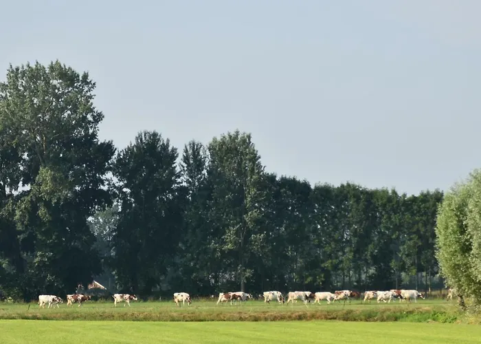 Apartamento Beeldend Buiten