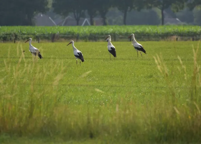 Beeldend Buiten Apartamento *