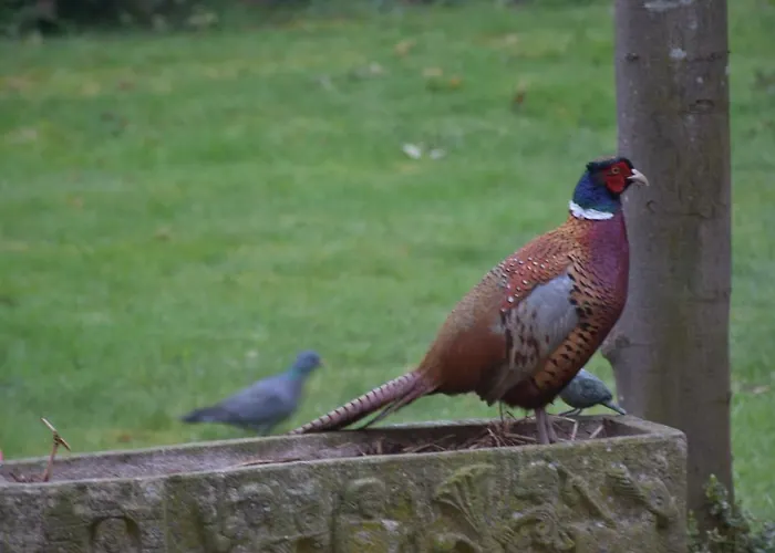 Beeldend Buiten Apartamento