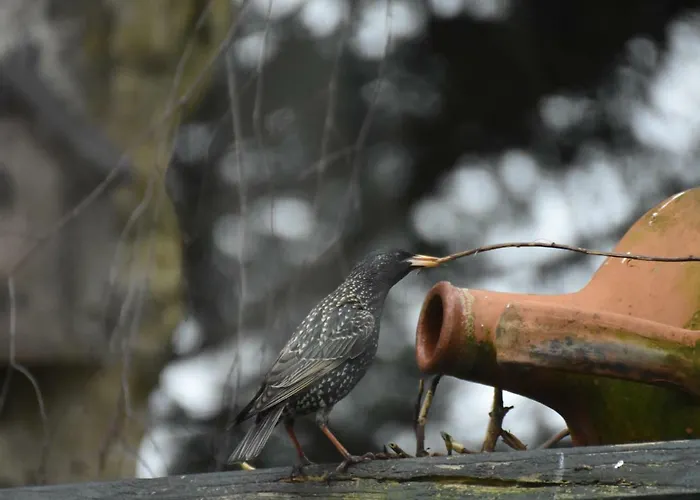 Beeldend Buiten Apartamento Wichmond