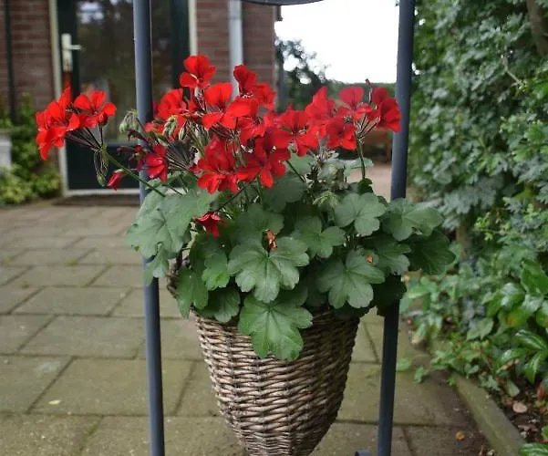 Beeldend Buiten Appartamento *