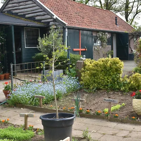 Apartmán Beeldend Buiten