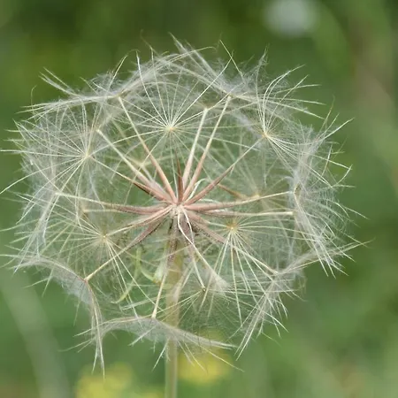 Beeldend Buiten Apartmán Wichmond