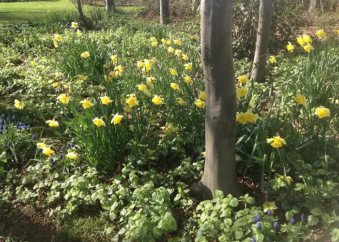 Beeldend Buiten * Wichmond