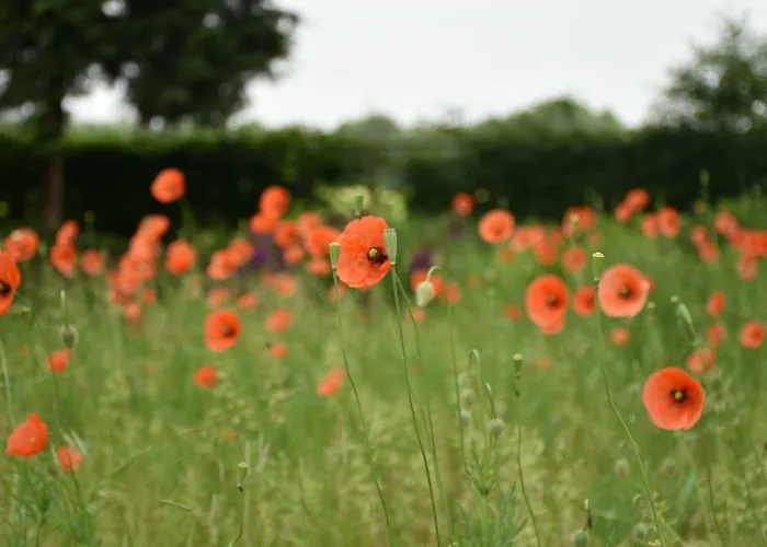 Beeldend Buiten Апартаменты *