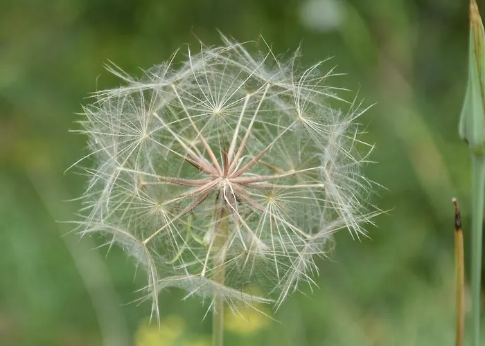 Beeldend Buiten Апартаменты Wichmond