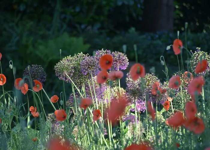 Апартаменты Beeldend Buiten